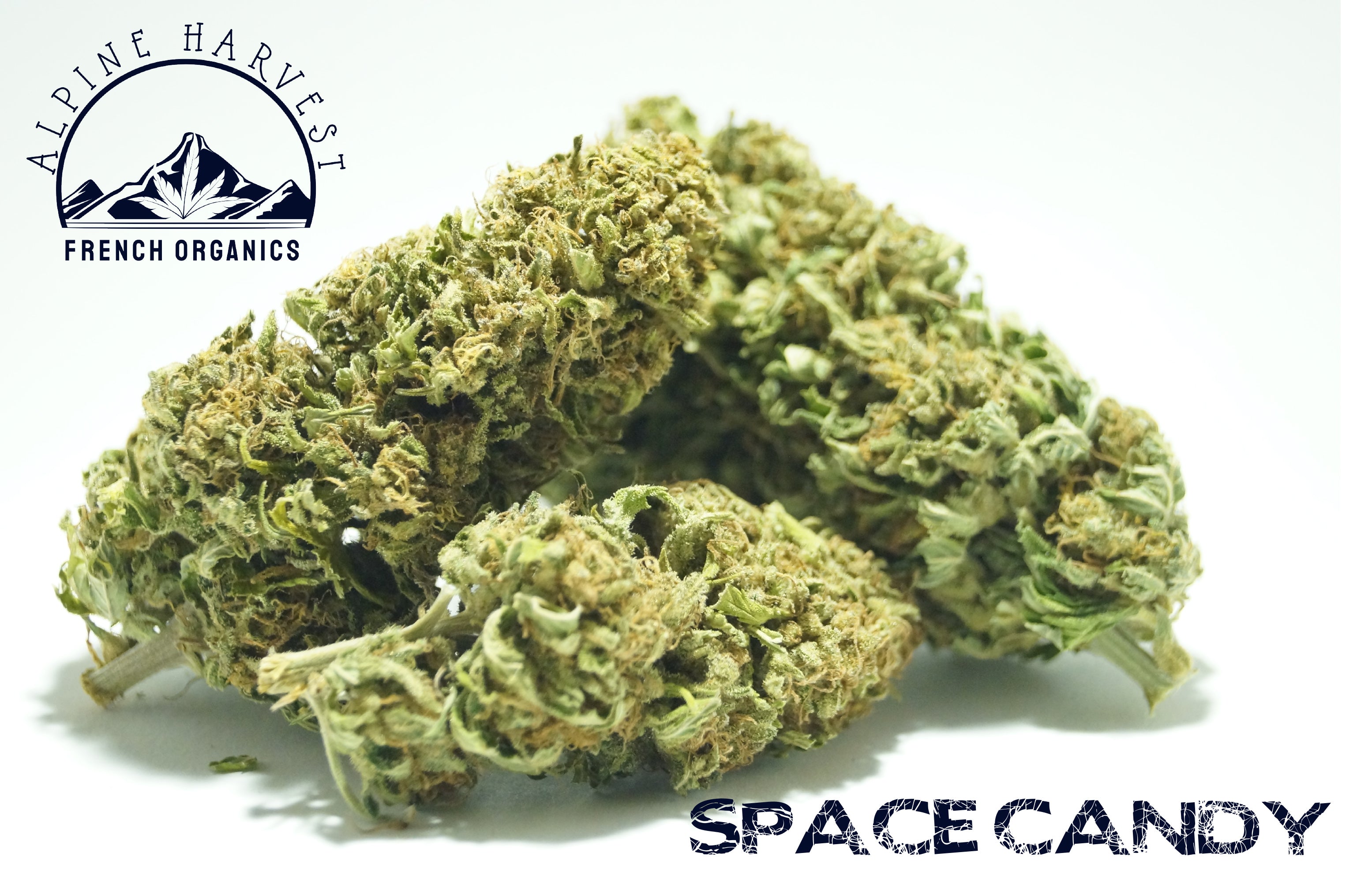 SPACE CANDY - Alpine Harvest – Alpine Harvest